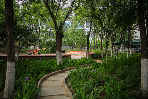 海通時(shí)代康橋